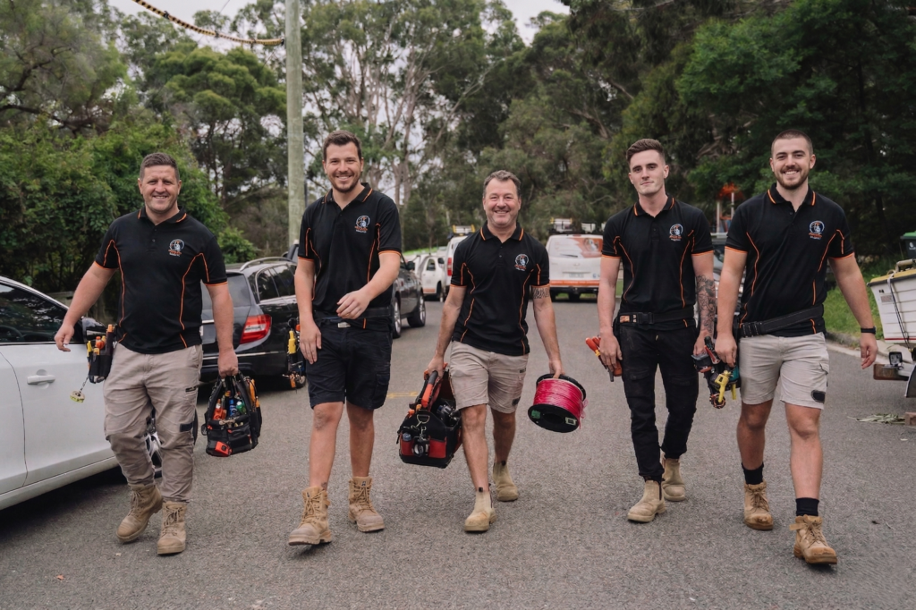 Professional electrical services in Rockdale